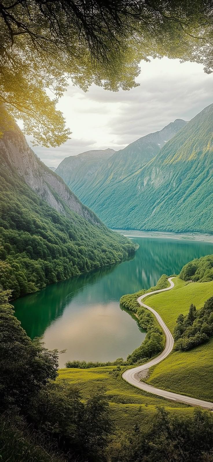 Diseño de Naturaleza 1230002