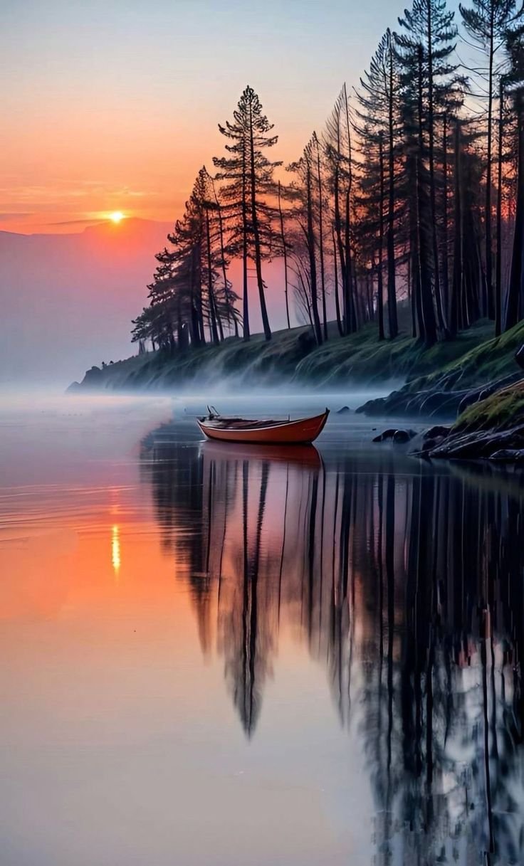 Diseño de Naturaleza 1230007