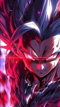 Diseño de Dragon Ball 20001