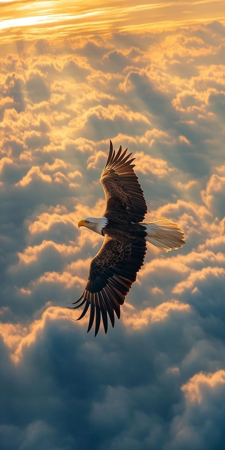 Diseño de Animales 3000004