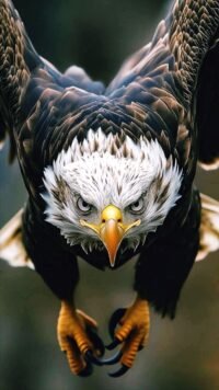 Diseño de Animales 3000005