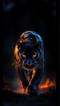 Diseño de Animales 3000001