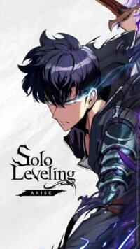 Diseño de Solo Leveling 60010