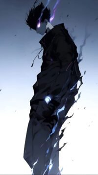 Diseño de Solo Leveling 60020